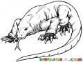 Dibujo De Dragon Iguana Komodo Para Pintar Y Colorear