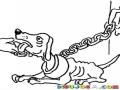 Colorear Perro Encadenado Dibujo De Perrito Desnutrido Y Hambriento Con Una Cadena Al Cuello Para Pintar Y Colorear