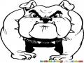 Dibujo De Bulldog Guardian Para Pintar Y Colorear