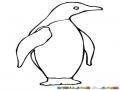 Colorear Pinguino