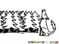 Lobo Aullador Dibujo De Lobo En El Bosque Para Pintar Y Colorear Lobito Aullando