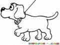 Colorear Perrito Paseando Dibujo De Perro Con Correa Saliendo A Pasear