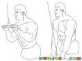 Tricep Con Polea Para Pintar Y Colorear Dibujo De Un Hombre Ejercitando El Triceps
