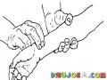Dibujo De Como Tomar El Pulso Con Los Dedos En La Muneca Para Colorear