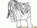 Dibujo De Un Tigre Boca Abierta Para Colorear