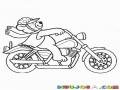La Moto Del Oso Dibujo Del Oso En Harkey Davidson Para Pintar Y Colorear Osito Motorista