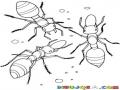 3hormigas Dibujo De Tres Hormigas Comiendo Migas Para Pintar Y Colorear Hormiguitas Platicando