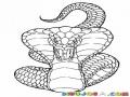 Serpientecobra Dibujo De Culebra Cobra Para Pintar Y Colorear Serpinete Cobra Culebracobra