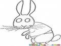 Conejoreprimidio Dibujo De Un Conejito Reprimido Para Pintar Y Colorear