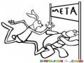 Meta Dibujo De La Carrera De La Tortuga Y La Liebre Llegando A La Meta Para Colorear