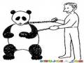 Dibujo De Mascota Panda Para Colorear Panda Mascota