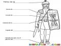 ArmaduradeDIOS Efesios 611 Al 17 Dibujo De La Armadura De DIOS Para Pintar Y Colorear Cinturon Coraza Calzado Escudo Yelmo Espada