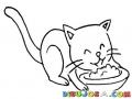Concentrado De Gato Dibujo De Plato De Gato Para Pintar Y Colorear Gato Comiendo