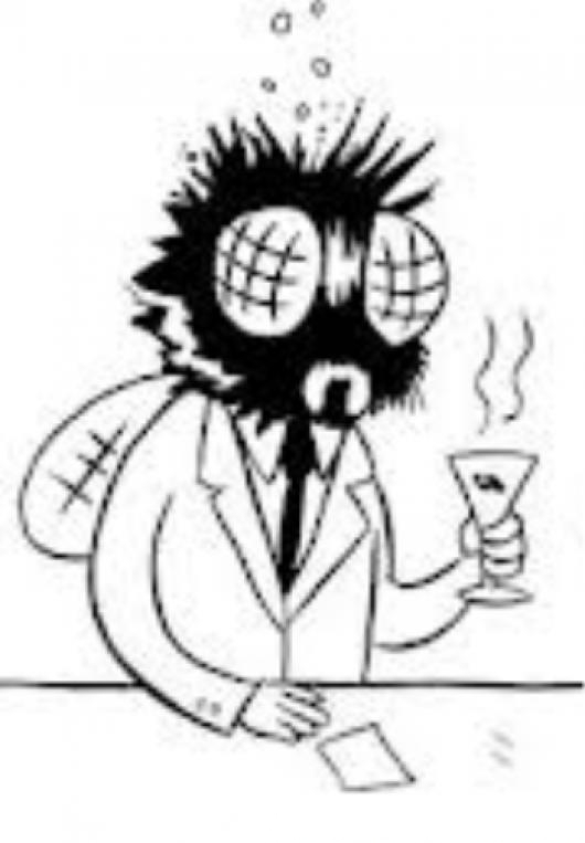 HOMBRE MOSCA hombre mosca: