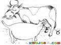 Dibujo De Gato Gordo Mamando Leche De Una Vaca Para Pintar Y Colorear