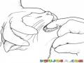 Colmillos De Gato Dibujo De Las Manos De Un Veterinario Con Guantes Dando Una Pastilla A La Fuerza A Un Gato Para Pintar Y Colorear Dientes De Gato