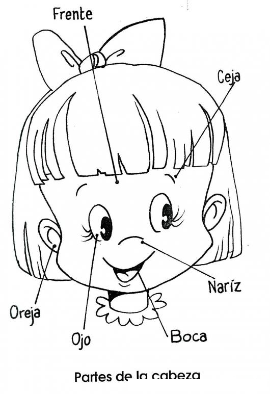 COLOREAR LAS PARTES DE LA CARA | DIBUJOS PARA PINTAR | Dibujos para Colorear COLOREAR LAS PARTES DE LA CARA | DIBUJOS PARA PINTAR | Dibujos para Colorear