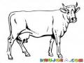 Dibujo De Vaca Lechera Para Colorear