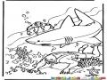 Tiburon Asesino Dibujo De Tiburon Blanco Para Pintar Y Colorear