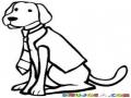 Perro Encorbatado Dibujo De Perrito Con Corbata Y Saco Para Colorear
