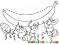 Dibujo De 3 Hormigas Cargando Un Banano Para Pintar Y Colorear