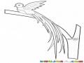 Dibujo Del El Quetzal De Plumas Verdes Y Pecho Rojo Para Pintar Y Colorear