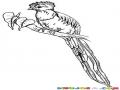 Dibujo De Un Quetzal Para Pintar Online