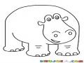 Hipopotamo Amigable Para Colorear
