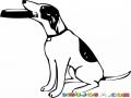 La Necesidad Tiene Cara De Chucho Dibujo De Perro Pidiendo Comida Para Pintar Y Colorear