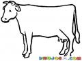 Dibujo De Vaca Triste Porque La Van A Matar Para Pintar Y Colorear