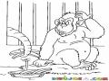 Dibujo De Un Moco De Elefante Robandole Bananos A Un Mono Para Pintar Y Colorear