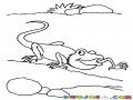 Dibujo De Camaleon Caminando Por La Orilla De Un Rio Para Pintar Y Colorear