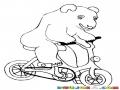Dibujo De Oso En Bicicleta Para Pintar Y Colorear