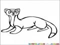 El Dia De La Marmota Dibujo De Una Marmota Para Pintar Y Colorear