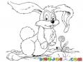Dibujo De Conejo Parado Para Colorear