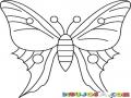 Dibujo De Una Mariposa Para Pintar Y Colorear