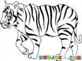 Dibujo De Un Tigre De Rayas Negras Para Pintar Y Colorear