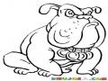Dibujo De Perro Bull Dog Campeon Con Medallas Para Pintar Y Colorear