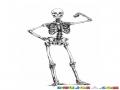 Esqueleto Musculoso Dibujo De Una Calavera Sacando Biceps Para Pintar Y Colorear
