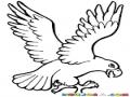 Dibujo De Aguila Con Garras Extendidas Para Pintar Y Colorear