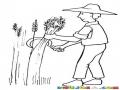 Dibujo De Agricultor Cosechando Trigo Para Pintar Y Colorear
