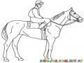 Colorear Caballo De Equitacion
