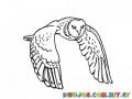 Colorear Buho Volando Owl Flying