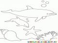 Colorear Delfines Nadando