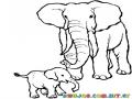 Colorear Papa Elenfante Con Elefantito