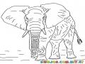 Colorear Elefante Toro