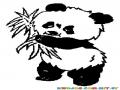 Colorear Panda En Una Rama
