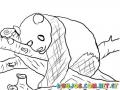 Colorear Oso Panda En Un Arbol