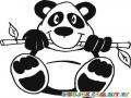 Colorear Oso Panda Con Rama De Bambu