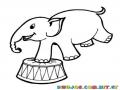 Elefante Parado En Una Pata Para Pintar Y Colorear